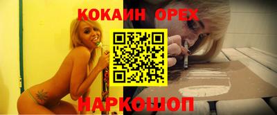 спиды Гай