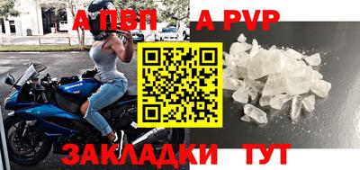 спиды Гай