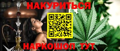 спиды Гатчина