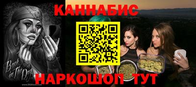 спиды Гай