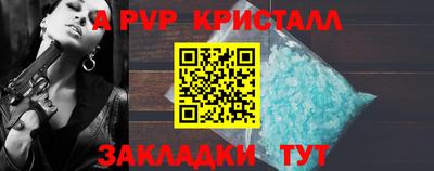 спиды Гатчина