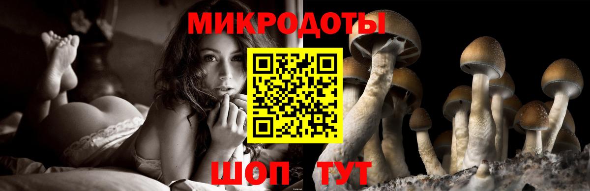 Кандалакша  Галлюциногенные грибы MAGIC MUSHROOMS  Псилоцибиновые грибы ЛСД  Вход с VPN 